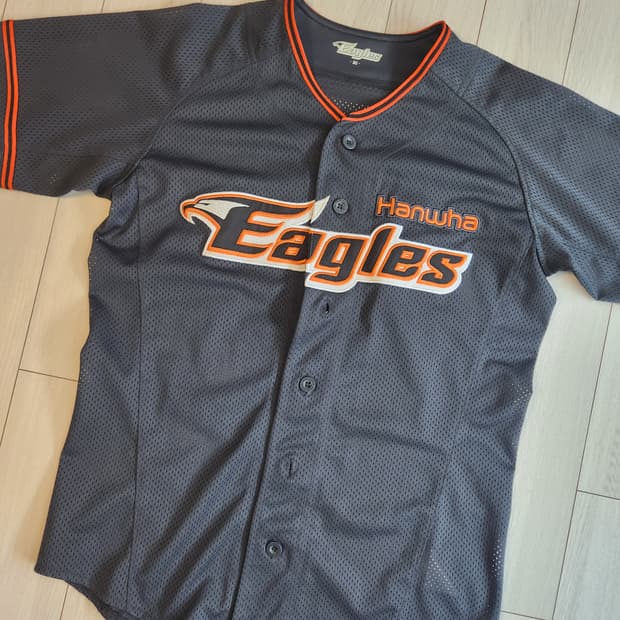 한화 이글스 레플리카 유니폼(원정) 김태균 사이즈80

여러 중고사이트에