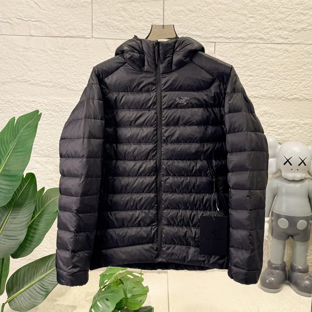 아크테릭스 세륨 후디 블랙