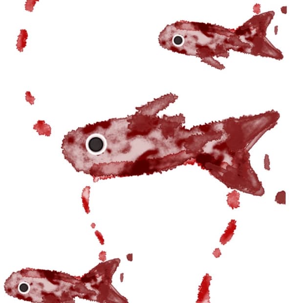 🍀FOLLOW EVENT🍀