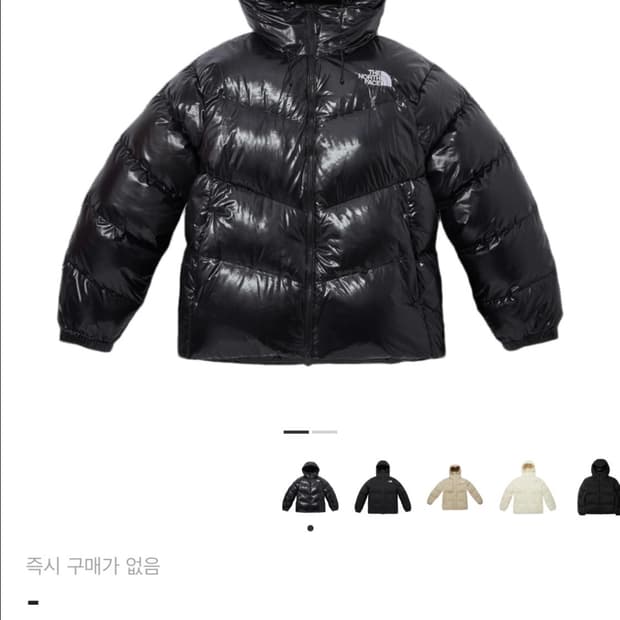 노스페이스 패딩 XL