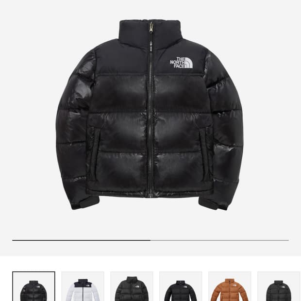 노스페이스 1996 에코 눕시 여성용 95 L