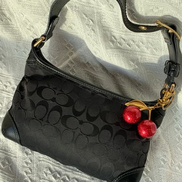 🖤 Coach 올블랙 패브릭 숄더백