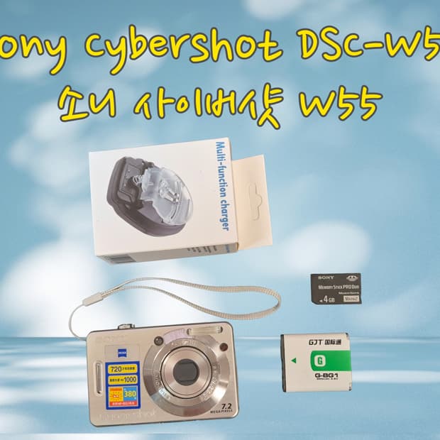 작례,영상O) Sony Cybershot DSC-W55 (소니 사이버샷 
