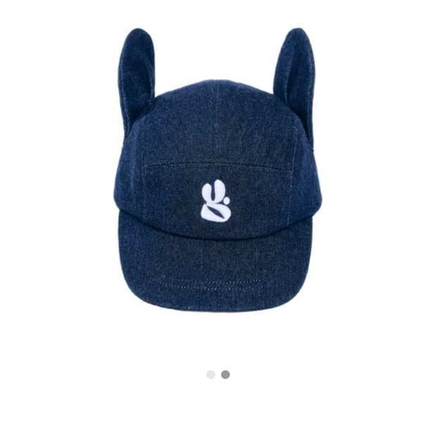 예그 윙 캡 블루