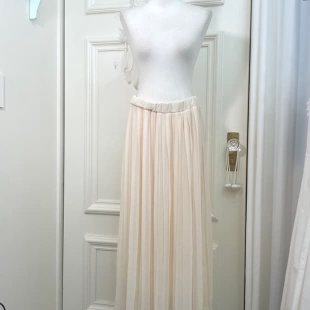 sheer coral pleats banding lomg skirt