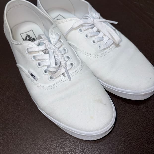 반스 어센틱 로우 프로 화이트 265