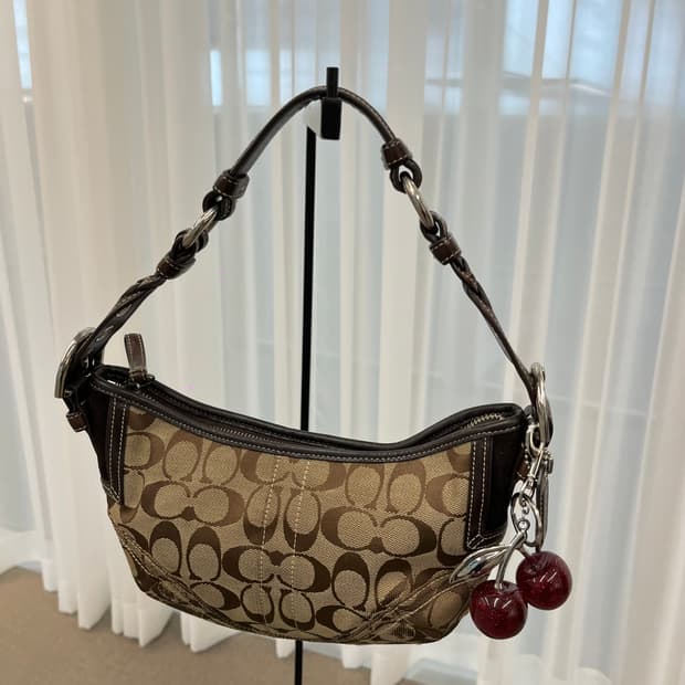 Coach Mini Brown Shoulder Bag