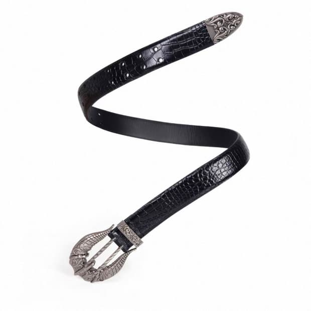 regen zone belt