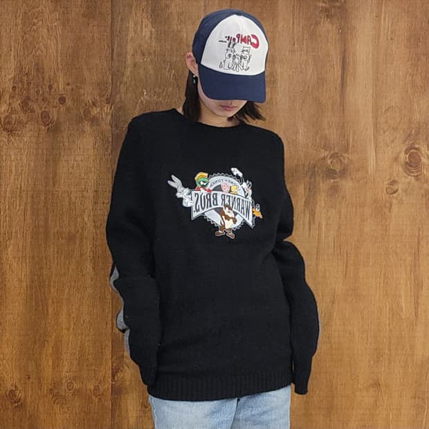 Warner Bros embroidery knit 