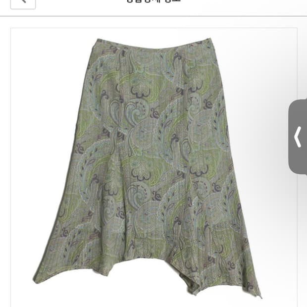 페이즐리 스커트