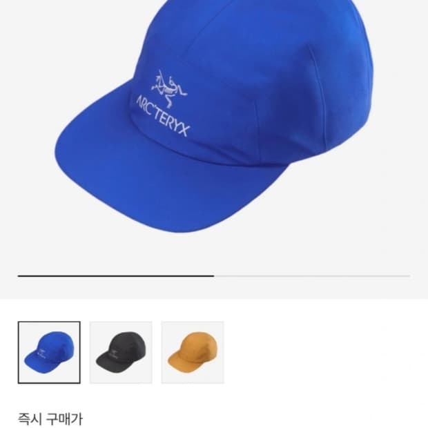 아크테릭스 고어 5 패널 캡