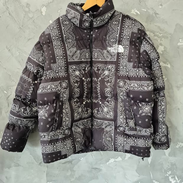 노스페이스 노벨티 로프티 다운 패딩 xl 105