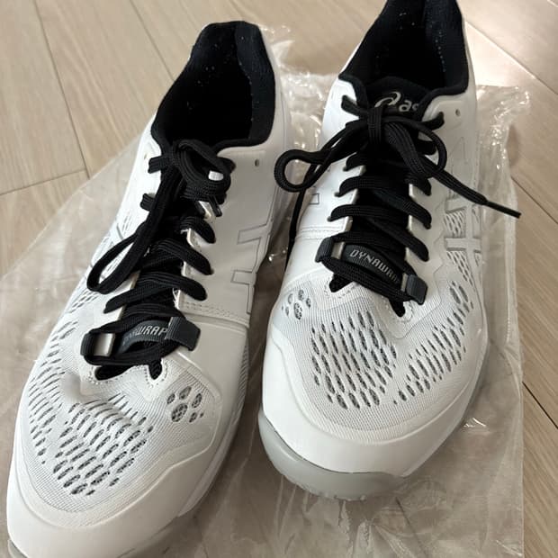 아식스 스카이엘리트 ff2 270mm
