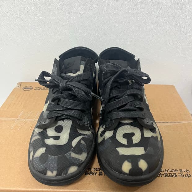 Nike x Comme des Garcons Dunk Low 250