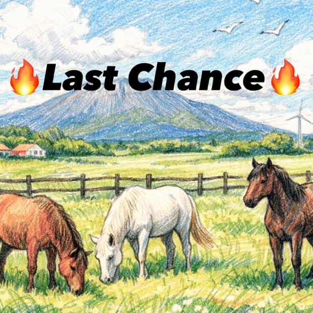 🔥Last Chance🔥