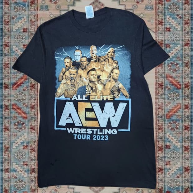 AEW 올 엘리트 레슬링 2023 투어 그래픽 티셔츠 M