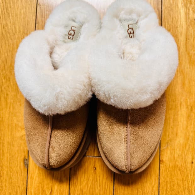 어그 디스케트 슬리퍼 체스트넛 240