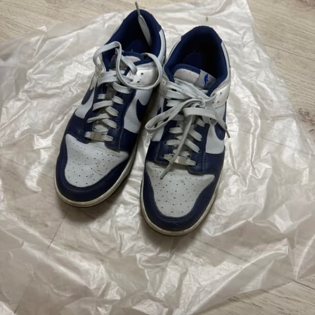 나이키 nba 덩크 로우