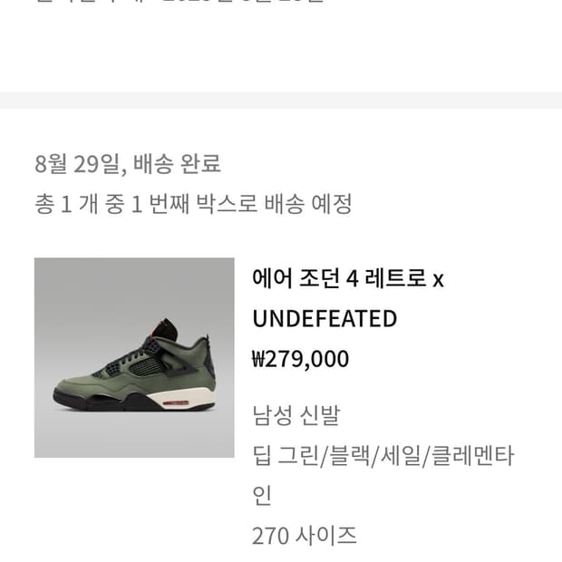 나이키 에어 조던 4 언디핏 270