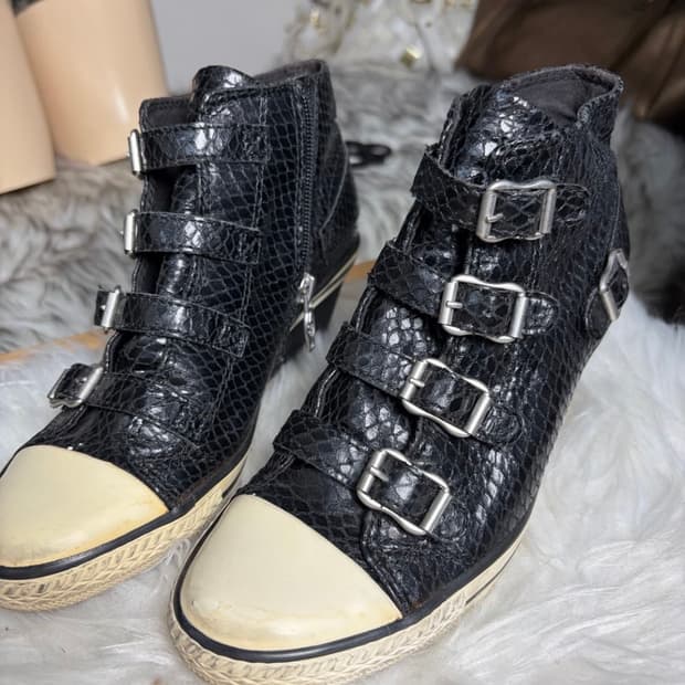 Ash 아쉬 뱀피 웨지힐 스니커즈