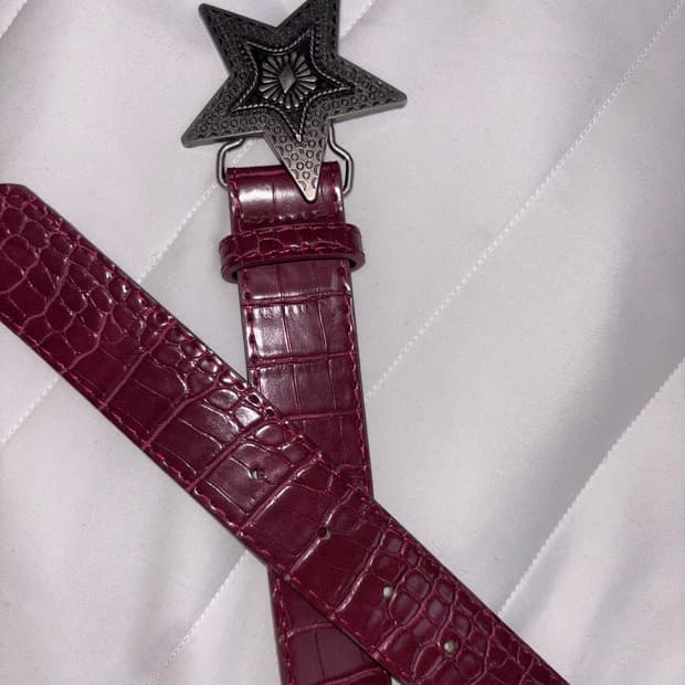 4000원) y2k 버건디 스타 버클 벨트