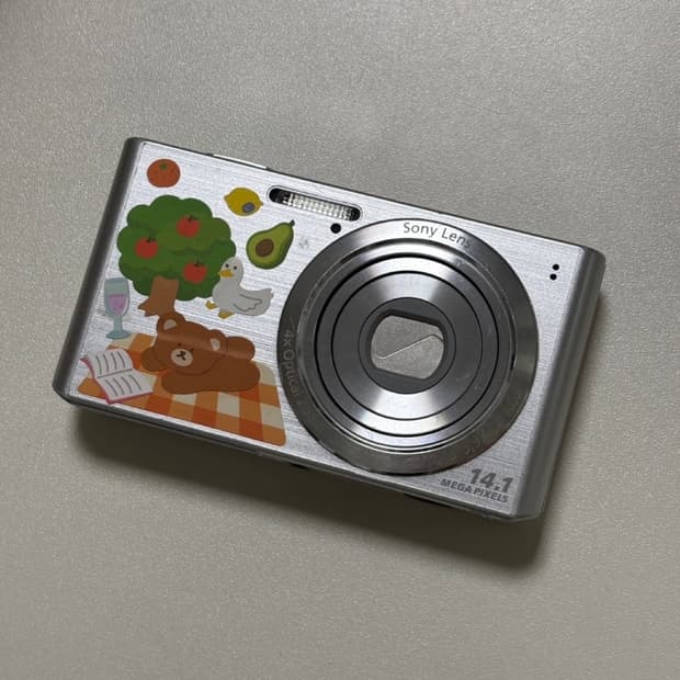 소니 사이버샷 DSC-W610