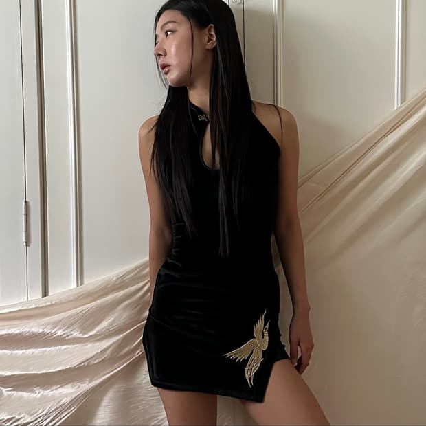 golden bird Embroidery oriental dress 