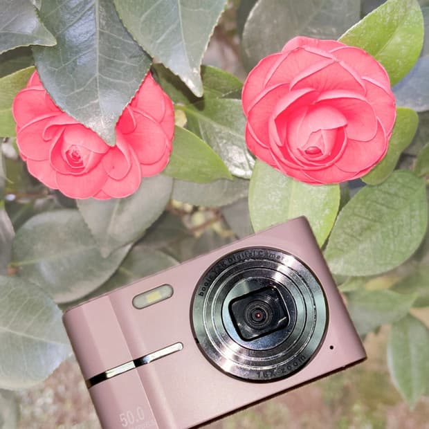 (사이버샷 저렴이) 디지털카메라 입문용