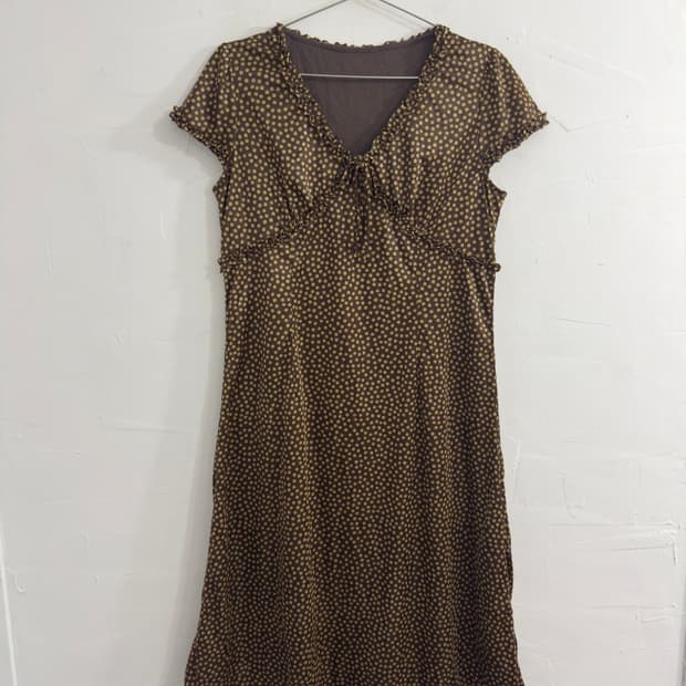 dot brown&gold dress