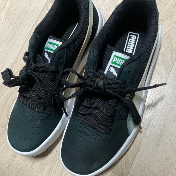 [245] 푸마 캘리포니아