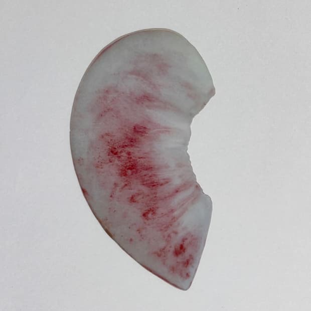 이옥토 백도 책갈피