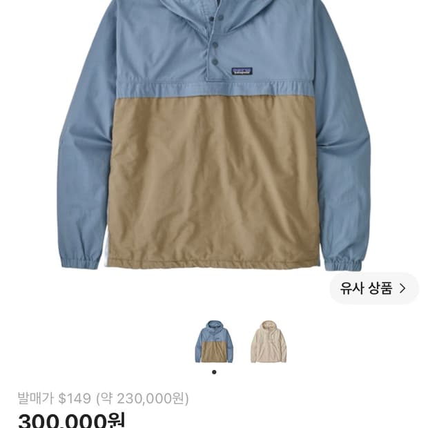 파타고니아 펀호거스 아노락 L