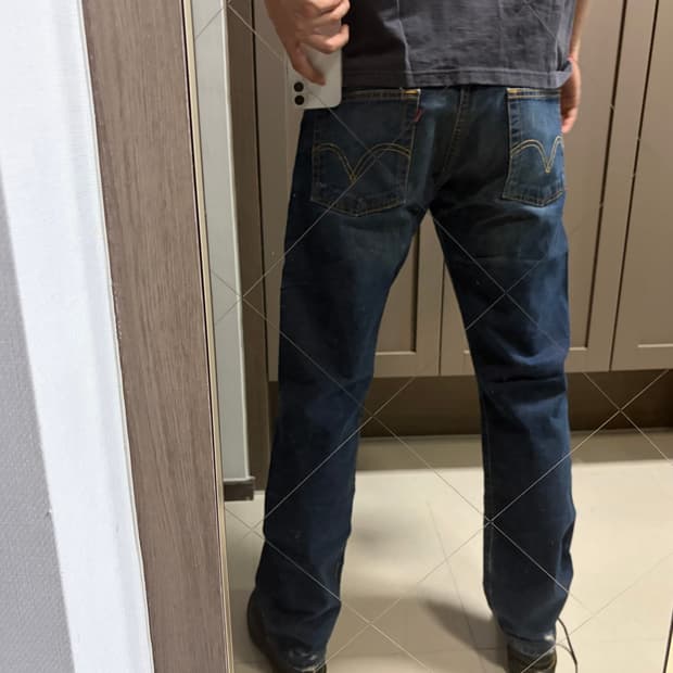 [Levi’s 501 W31 | L32]