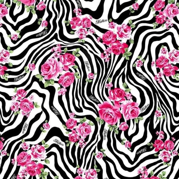 갸루 랜덤박스 랜박