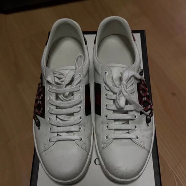 [270] 구찌 스네이크 스니커즈