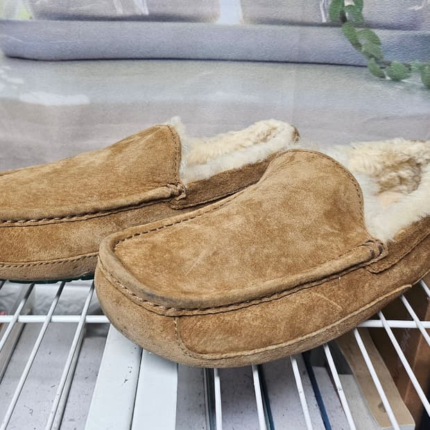 어그 남성 방한화 260 애스콧 양털 모카신 겨울 방한로퍼 SE02