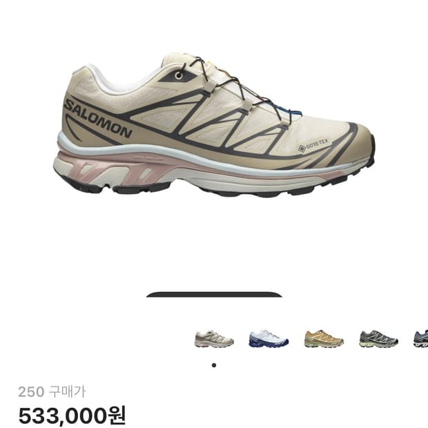 살로몬 XT-6 고어텍스 아몬드 밀크 모브