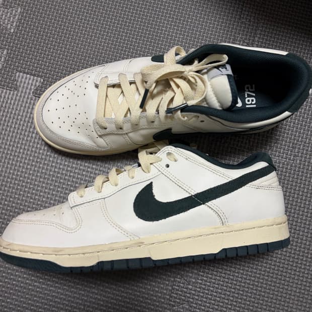 나이키 헤리티지 덩크로우 255