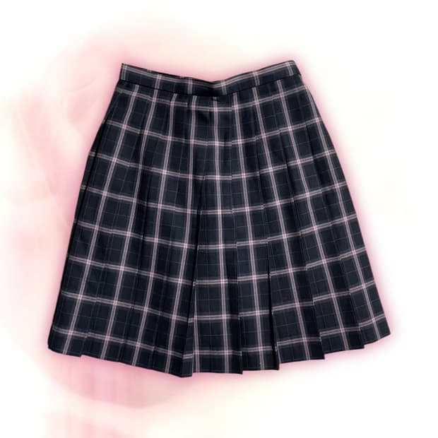 ELLE navy plaid skirt