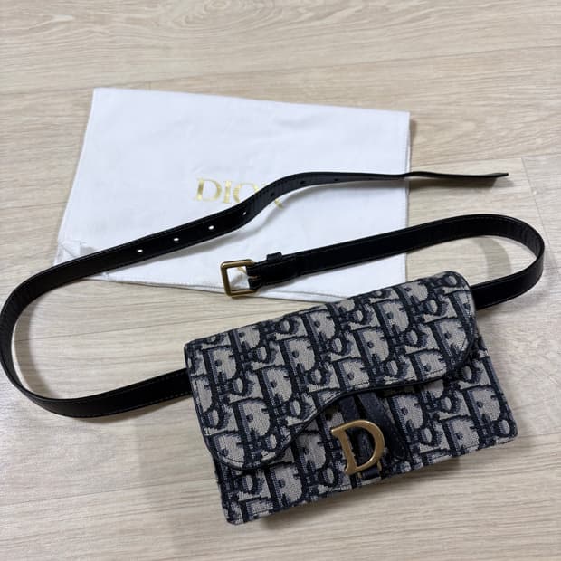 디올 오블리크 벨트백
