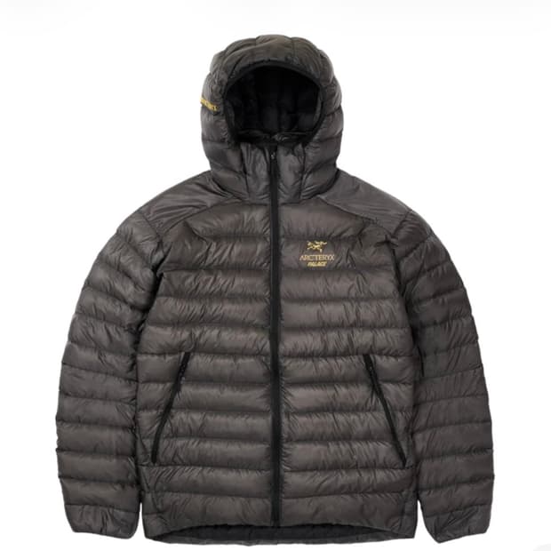 팔라스 아크테릭스 세륨