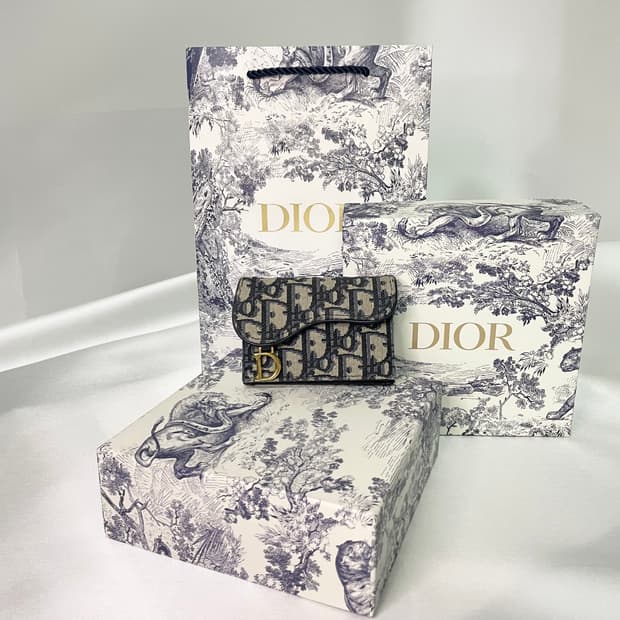 디올 오블리크 새들 카드지갑