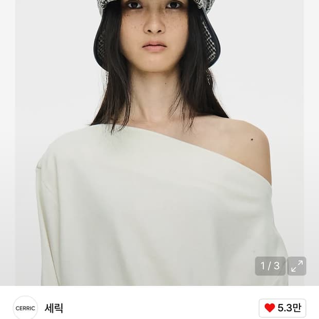 구해요) 세릭 울 뉴스보이캡 