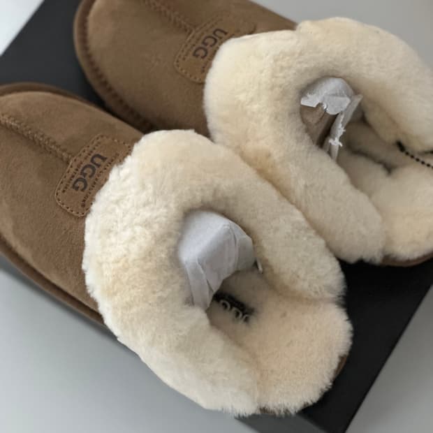 호주 어그 유량