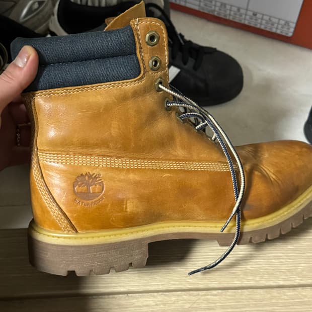 팀버랜드 6인치 브라운 280