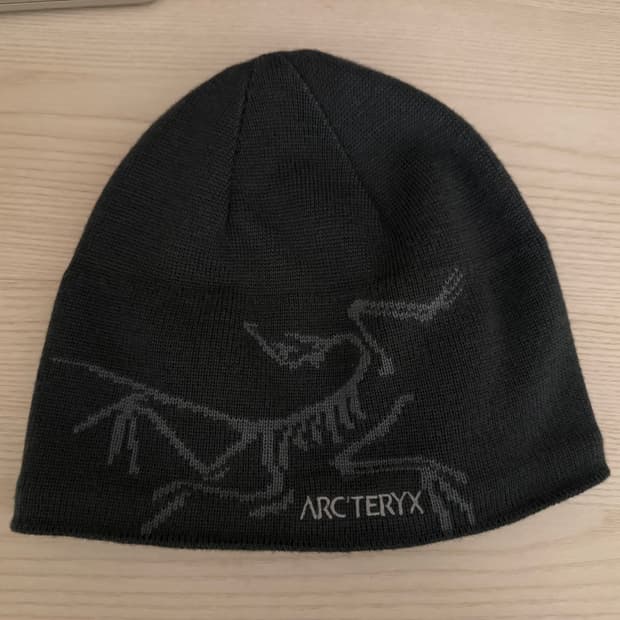 아크테릭스 버드 헤드 토크 비니