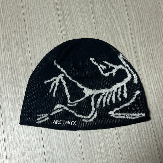 아크테릭스 버드 헤드 테크 오르카 Arcteryx