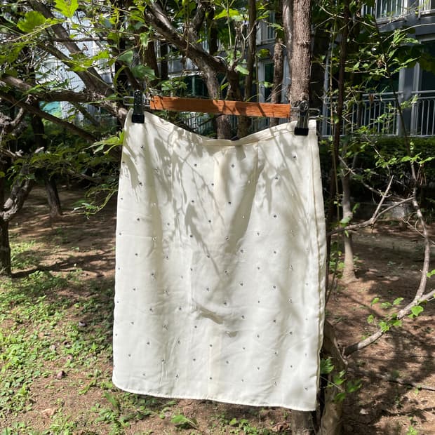 see-through skirt