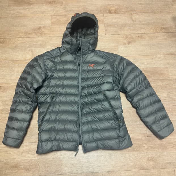 아크테릭스 세륨 후디 포리지 베르베 L