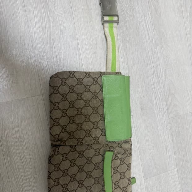구찌 GG 캔버스 벨트백 힙색 가방